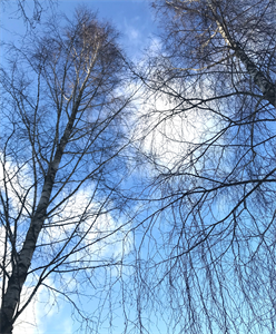 Природа 712.png